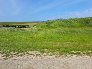 Een dubbele trouwring is verloren in het gras