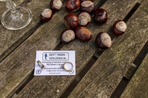 Twee ringen in het gras