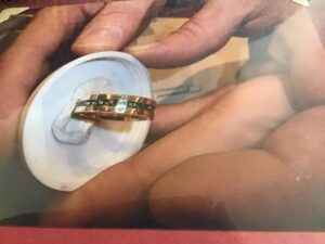 Asring teruggevonden in Deurne Heiakker door stichting gevonden-verloren