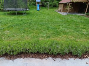 trouwring verloren in de tuin