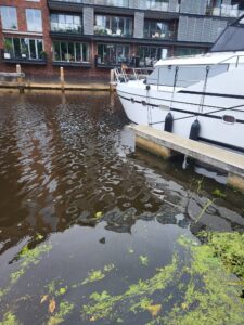 Lang wachten wordt beloond.